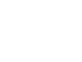 Signature/Logo