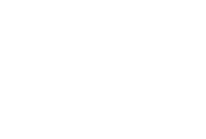 Signature/Logo